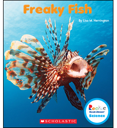 Freaky Fish Freaky Fish