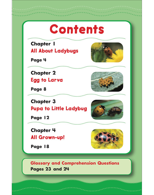 Science Vocabulary Readers Life Cycles by Liza Charlesworth