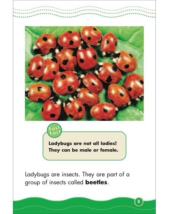 Science Vocabulary Readers Life Cycles by Liza Charlesworth