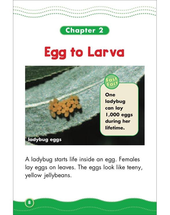 Science Vocabulary Readers Life Cycles by Liza Charlesworth