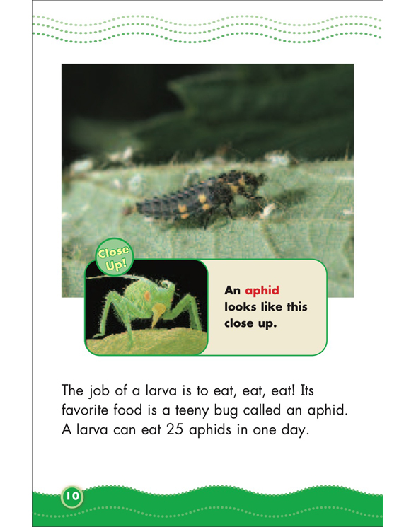 Science Vocabulary Readers Life Cycles by Liza Charlesworth