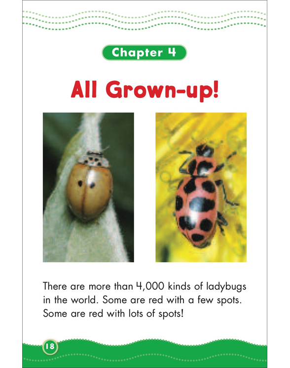 Science Vocabulary Readers Life Cycles by Liza Charlesworth