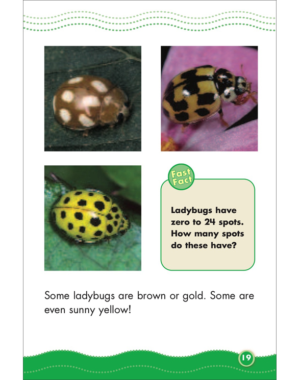 Science Vocabulary Readers Life Cycles by Liza Charlesworth