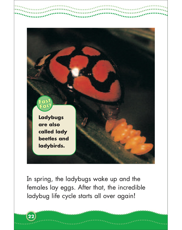 Science Vocabulary Readers Life Cycles by Liza Charlesworth