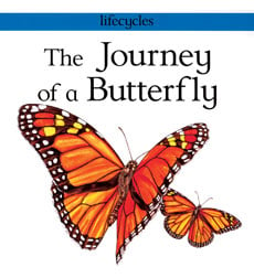 Lifecycles The Journey Of A Butterfly By Carolyn Scrace