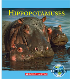 Hippopotamuses Hippopotamuses