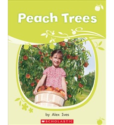 Peach Trees Peach Trees