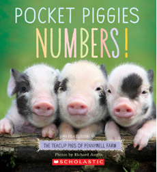 Numbers! Numbers!