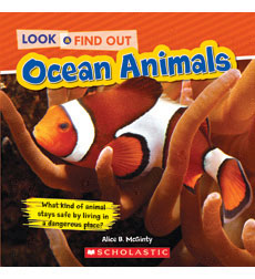 Ocean Ocean