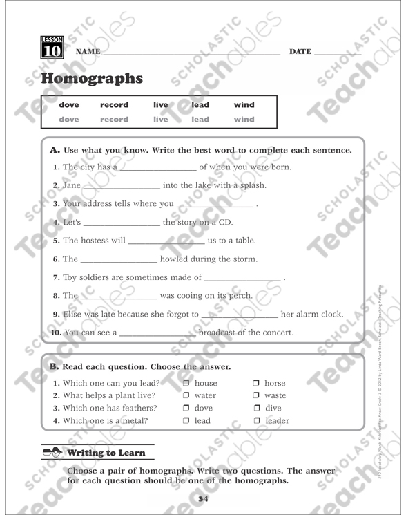 Homographs: Grade 3 Vocabulary Packet by