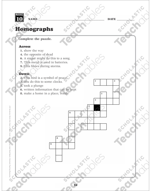 Homographs: Grade 3 Vocabulary Packet by