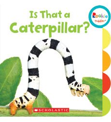 Is That a Caterpillar? Is That a Caterpillar?