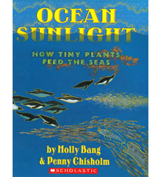 Ocean Sunlight Ocean Sunlight