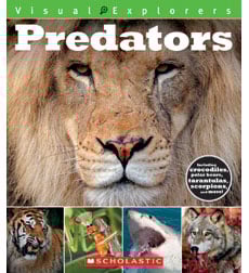 Visual Explorers: Predators Visual Explorers: Predators