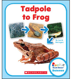 Rookie Read-About Science-Life Cycles: From Tadpole to Frog Rookie Read-About Science-Life Cycles: From Tadpole to Frog