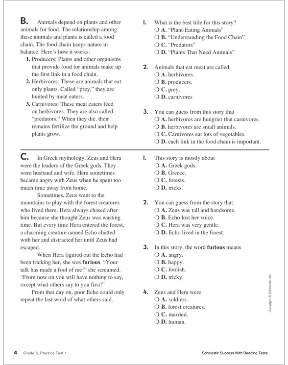 Scholastic Success With Reading Tests: Grade 5 Workbook by