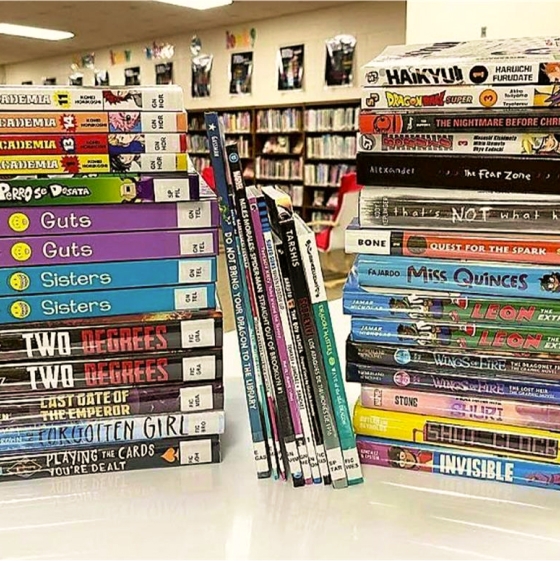 A pile of library books that came from the Book Fair stacked on a counter
