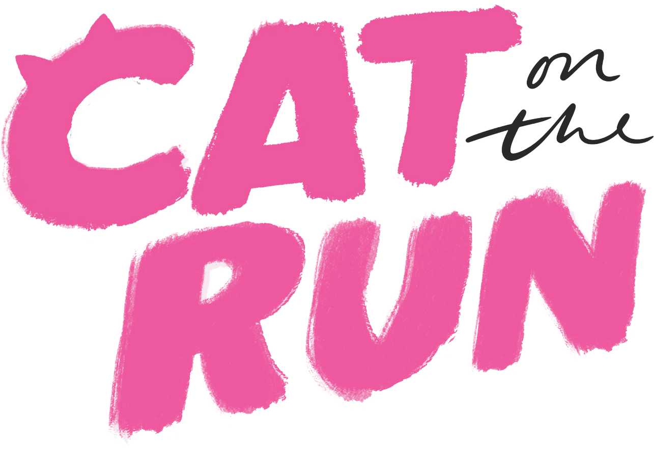 cat on the run logo