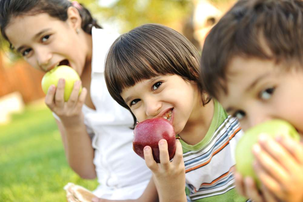 6 Tips for Promoting Healthy Eating With Kids