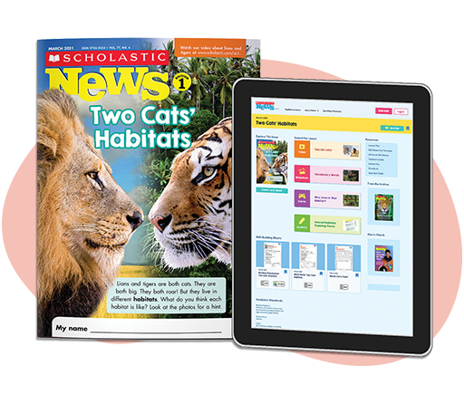 Magazines Plus Products