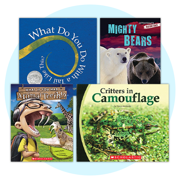 Teaching Collections | Scholastic Education Store